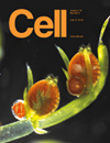 細(xì)胞