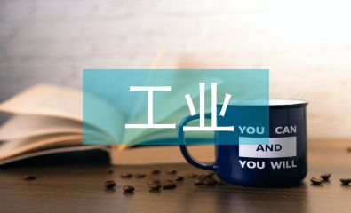 工業(yè)企業(yè)財(cái)務(wù)數(shù)據(jù)分析