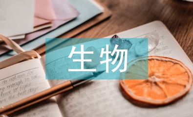生物醫(yī)學(xué)工程文獻(xiàn)綜述