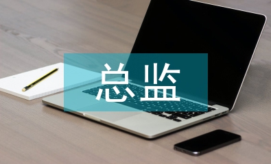 總監(jiān)職稱論文