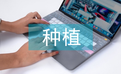 馬鈴薯種植中的平衡施肥技術(shù)