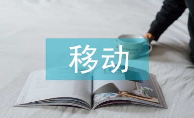 移動轉(zhuǎn)正總結(jié)