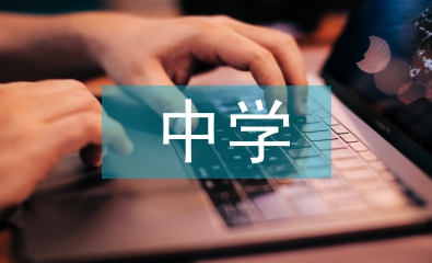 中學(xué)數(shù)學(xué)論文