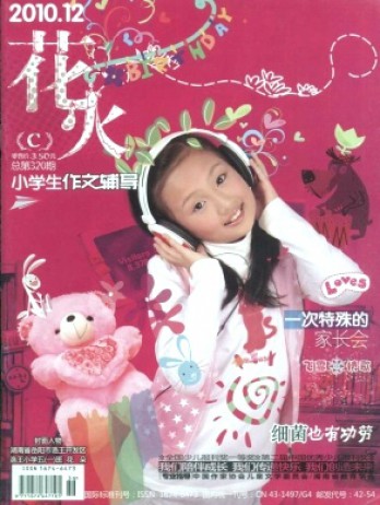 花火·小學(xué)生作文輔導(dǎo)雜志